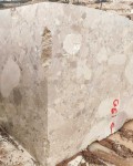 Breccia Adonis