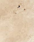 Light Travertine