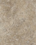 Silver Travertine Latte