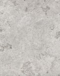 Tundra Gray
