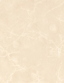 Bianco Marfil