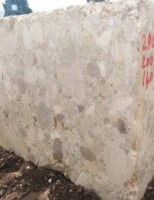 Breccia Adonis