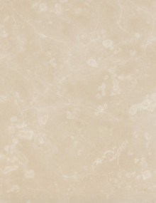 Burdur Fosilli Beige