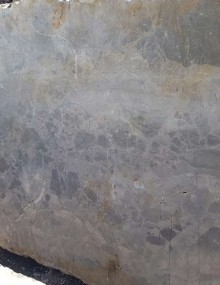 Gray Pizzato