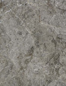 Gray Rosa