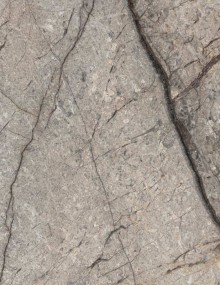 Roots Grey