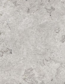 Tundra Gray