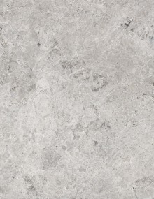 Tundra Gray