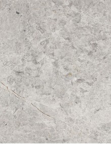 Tundra Gray
