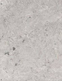Tundra Gray
