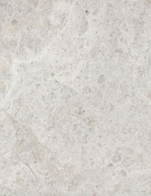 Tundra Gray