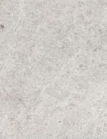 Tundra Gray