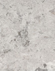 Tundra Gray