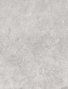 Tundra Gray