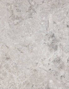 Tundra Gray